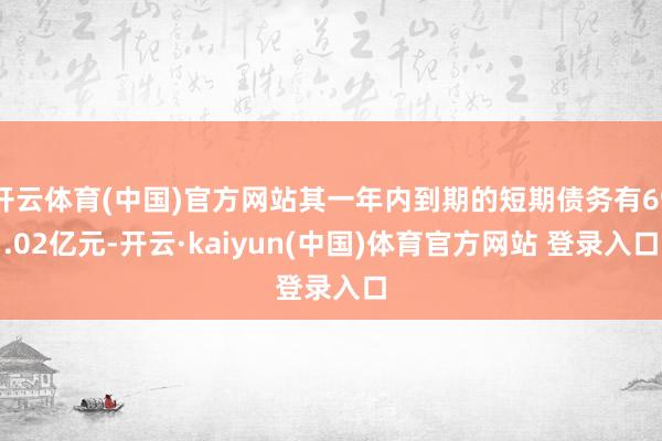 开云体育(中国)官方网站其一年内到期的短期债务有69.02亿元-开云·kaiyun(中国)体育官方网站 登录入口